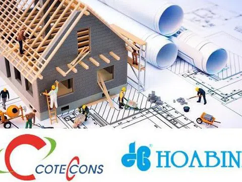 Coteccons đang mất dần vị trí số 1, Hòa Bình đang bức tốc
